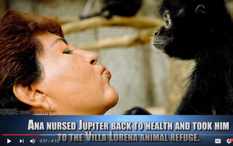 Ana Rescues Abused Animals